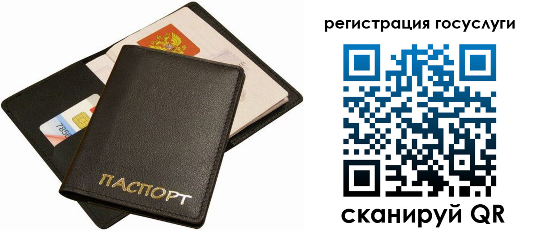 прописка от собственника в Светлогорске